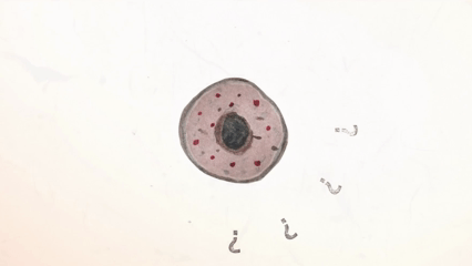 Cells GIF 