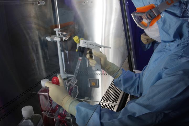 Picture of a person wearing goggles, gloves and a clean suit, using a pipette to trnsfer liquid from one container to another with their forearms inside a sterile laminar flow hood.