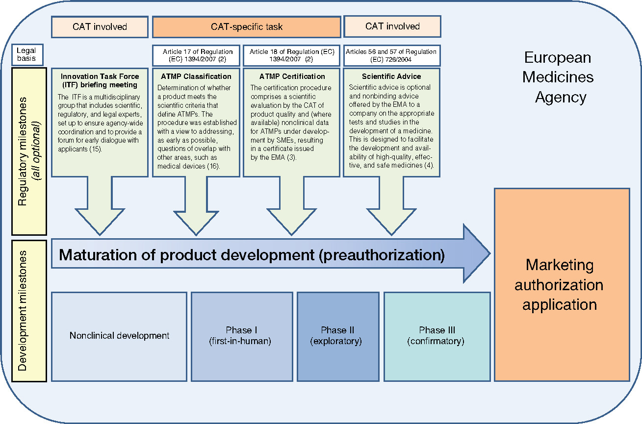 Regulatory pathways for ATMPs in Europe.