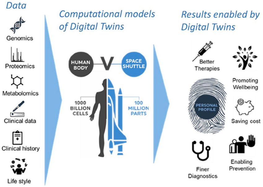 The Digital Twins concept. Integrating molecular, clinical, and imaging data through computational models will allow us to generate a digital twin of each patient. Treatments can be first tried on the digital twin and the best option selected for the treatment of the real patient. Likewise, personal prevention pathways can be designed. Both approaches optimize patient outcomes while minimizing costs as patients will not receive unnecessary treatments.