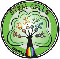 The Niche logo