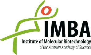 IMBA - Institute of Molecular Biotechnology