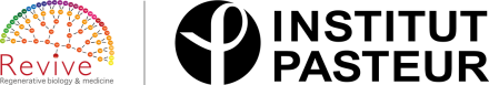Institut Pasteur - REVIVE logo
