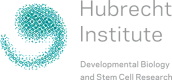 Hubrecht