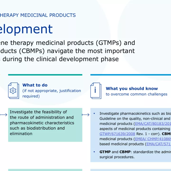 clinical development flowchart
