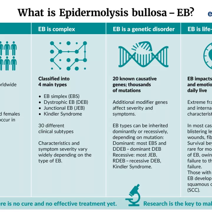 Table about EB