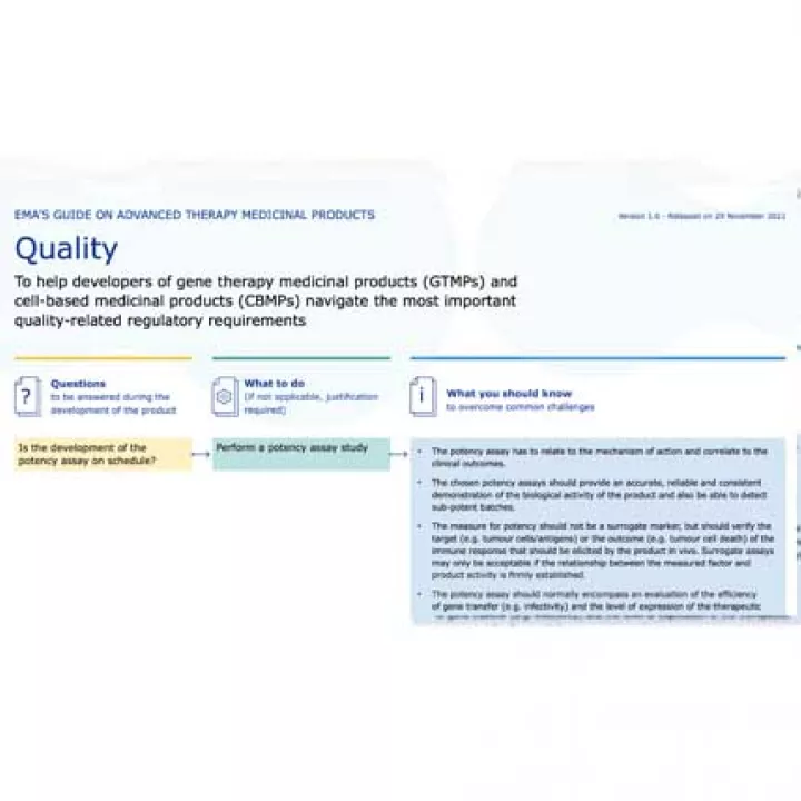 Screenshot of the EMA's flowchart