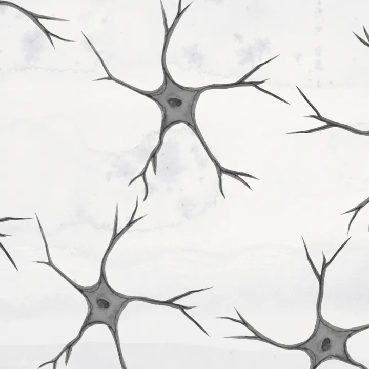 Neuron illustration 