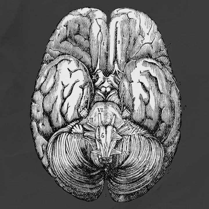 Illustration of a neuron affected by Alzheimer's Disease
