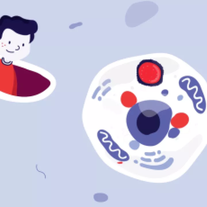 Cartoon showing a person looking at the contents of a cell