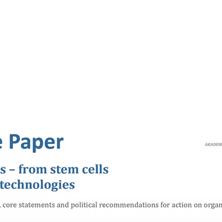 Image of front cover of the white paper "Organoids - from stem cells to future technologies"