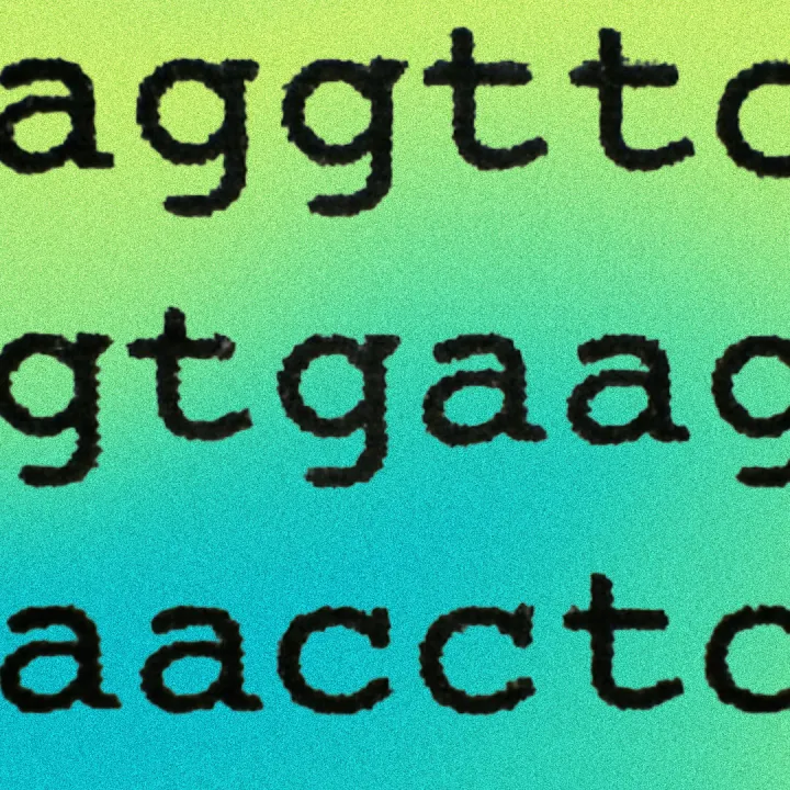 GATC DNA letter code 