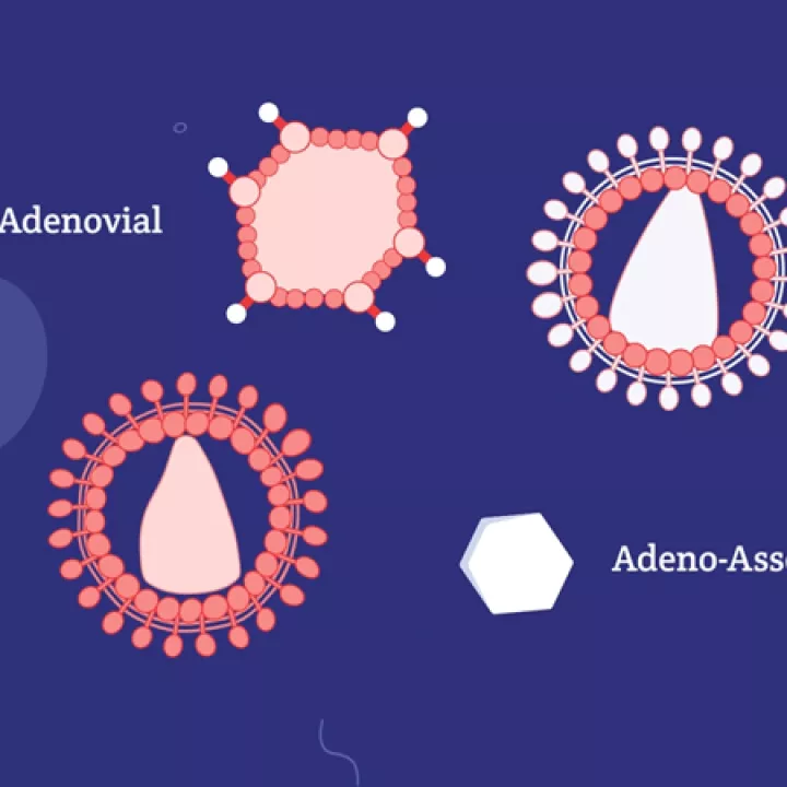 Cartoon depicting different kinds of viral vectors (clockwise from bottom left: lentiviral, adenoviral, retroviral, adeno-associated viral)
