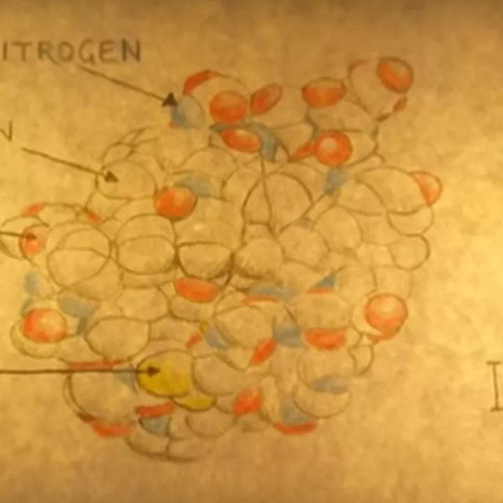 cell culture teaser