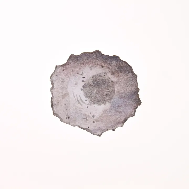 EuroGCT DNA image