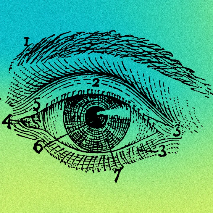 Eye illustration 