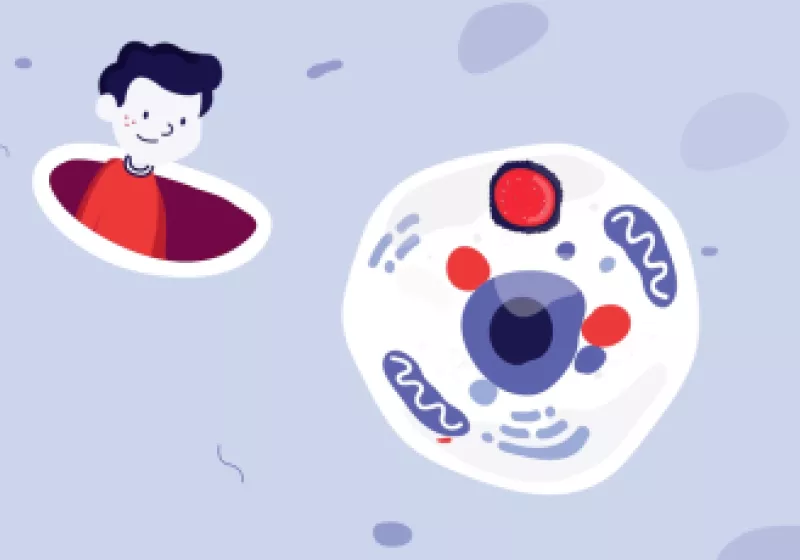 Cartoon showing a person looking at the contents of a cell