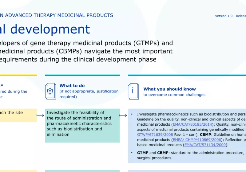 Clinical Development Flowchart